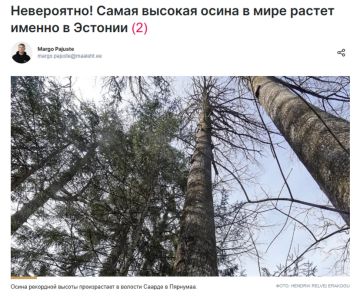 ������� � ������ ������ �� ��������, "���������" ������� � ������