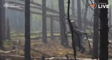 � ������������� ���� �������� ���������� �������� ������, ����������� ��� ����� 1100 �������� ����