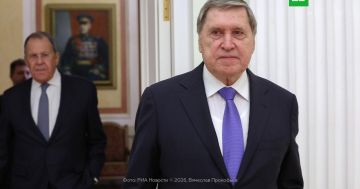 ������ ������ � ����� � ������������� ����������� �� ����������� ��������������