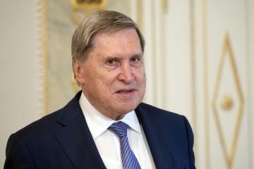 ����� ��������, ��� ����� ������� ��� ������ ����������� � ������