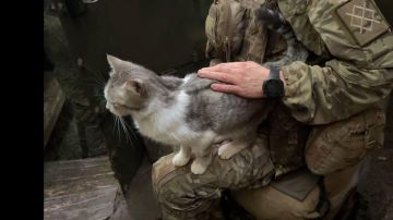 Военных нужно селить отдельно, считает эксперт Михайлов