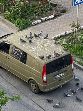 � ������ ���� ������ � ����������: ����� ��� ������� �� ��������