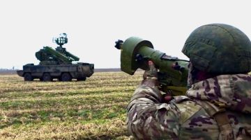 Перемирие в честь дня Победы на фронте: сводка событий в зоне СВО