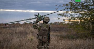 Эстония потребовала от Украины усилить контроль над своими дронами