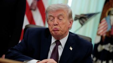 Трамп не выведет войска из Германии, убежден политолог Соколов