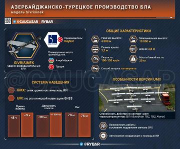 Тюркский рой. В Анкаре и Баку продолжают углублять военную интеграцию под лозунгами «тюркского единства»