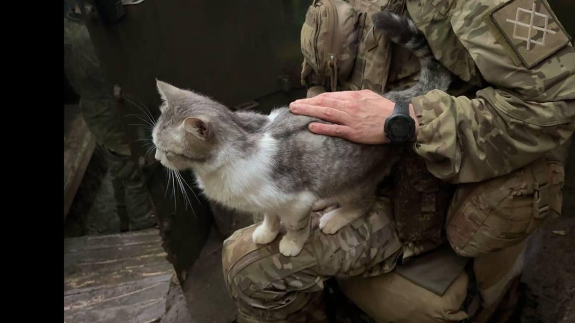 Военных нужно селить отдельно, считает эксперт Михайлов