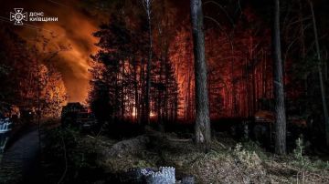 В Чернобыле третьи сутки продолжает бушевать масштабный лесной пожар
