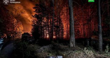 Чернобыльской зоне отчуждения третий день тушат лесной пожар