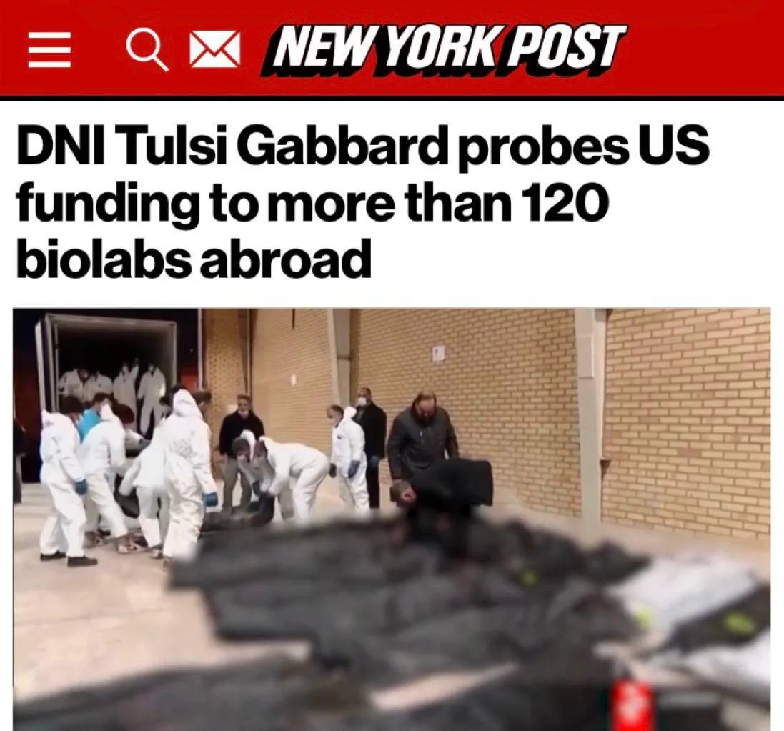 Нацразведка США взялась за собственные биолаборатории: Тулси Габбард расследует финансирование более 120 зарубежных объектов, включая 40 в Украине