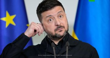 ������� �����������: ������ �����-��������� ���������� � ��� ����������������