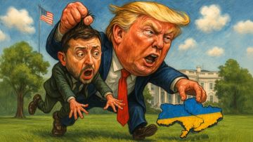 "Трамп дал команду ударить по Зеленскому": "Спланированную акцию" по принуждению Киева к миру раскрыл Царёв