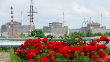 ВСУ активизировали удары по Энергодару после завершения майского перемирия и атакуют чаще