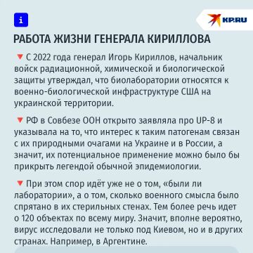 ���������� ����������� � ��������������� �� �������: ��� ������������ ����������� ��������� ���