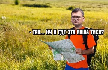 Не надо критиковать Зеленского! Он сейчас вытаскивает Украину из той дерьмовой ситуации, в которую нас затянула мировая политика, — бывший министр иностранных дел Кулеба