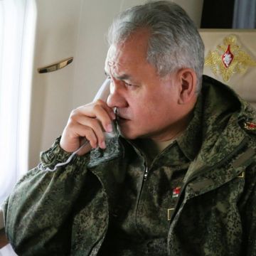 Устойчивый мир возможен только при устранении всех первопричин конфликта