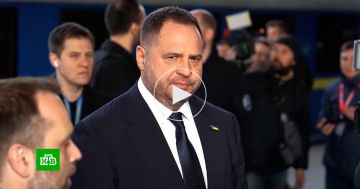 ������ �� ������ ������� 3 ��� �������� �� ����������� ��� �����