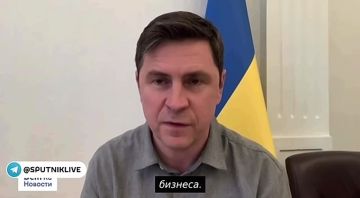 ������������. ������ �������� � ���, ��� �� ������� ���� ���������, ������ � �������� ���������� ����������� �������� ����� ���������� �������