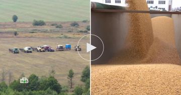 ������� ������ ������ ���������� ������ �� ������������� ����