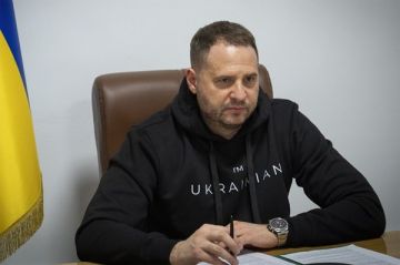 Константин Затулин допустил связь дела против Ермака с планами США «поставить Зеленского на место»