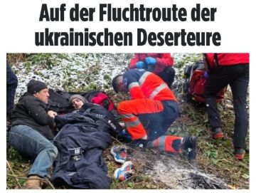 �� ���� ��� ������� "��������" 32 ������ ����������� ������ �� ������� � ��������