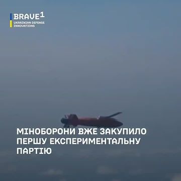 Евгений Поддубный: Противник освоил производство барражирующих авиационных боеприпасов