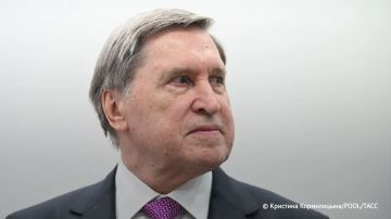 ����� � �� �������� ������� �� ���� �������, ����, ��������� � ���, ������� ������