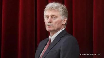 Заявления Зеленского о том, что Украина подготовила план ударов по России на июнь не способствуют выходу на мирное урегулирование конфликта, заявил Песков, отвечая на вопрос ТАСС