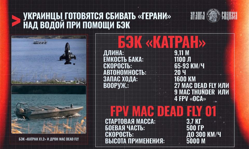 БЭКи в защиту от «Гераней»
