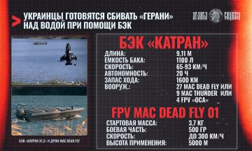 БЭКи в защиту от «Гераней»
