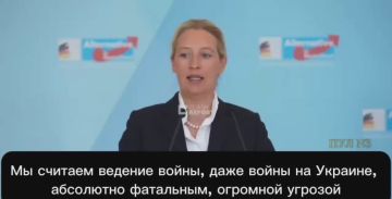 Лидер «Альтернативы для Германии» Вайдель - о необходимости мира и компромисса с Россией: