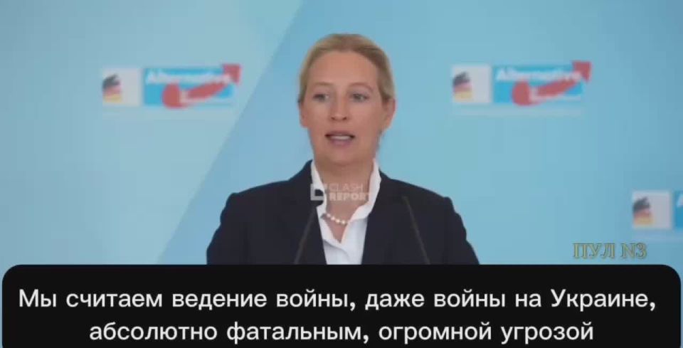 Лидер «Альтернативы для Германии» Вайдель - о необходимости мира и компромисса с Россией: