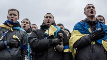С Блюменштрассе в мясной штурм? Почему в ЕС заговорили об отмене защиты для украинских мужчин?