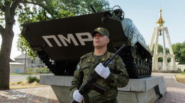 "Вступление в гражданство – дело добровольное": Амерберг опроверг слухи о мобилизации в ПМР