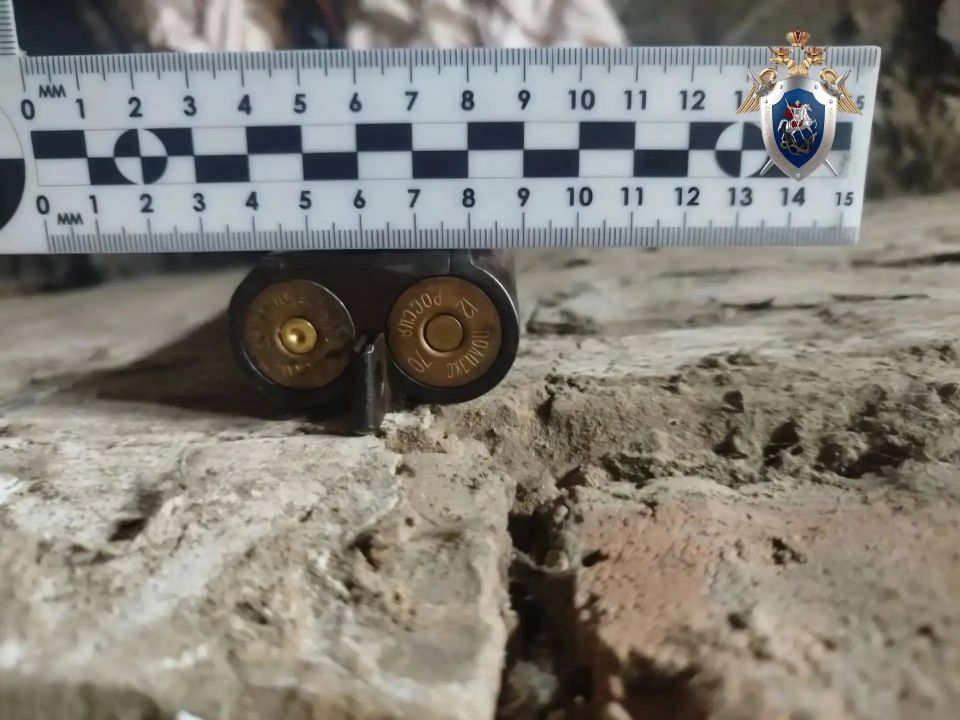 Житель Хабаровского края поссорился с возлюбленной, взял ружье и поехал стрелять в бывшую