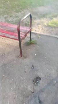 "���, ������� ������, ������?"