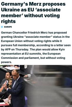 Мерц предложил сделать Украину «ассоциированным членом» ЕС без права голоса, пока Киев проходит процесс полного вступления