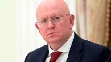 Главное из заявлений Небензи на заседании СБ ООН