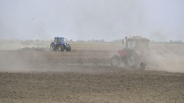Венгрия запретила ввоз аграрной продукции из Украины