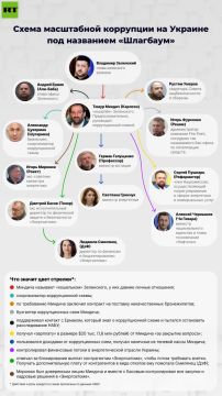 ���� ������� ����� ����������� ���������� � ��, ��� ������ ������������ ���� ������������� �������, ����� Die Zeit