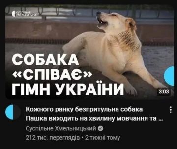 ������� � ��� �����-�� ���� ����� � �����