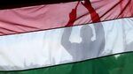 Венгрия введет запрет на импорт сельхоз товаров с Украины – Мадьяр