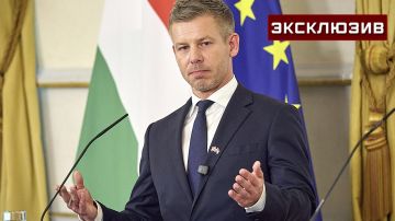 Эксперт: созданный Венгрией прецедент по отказу от импорта из Украины очень важен