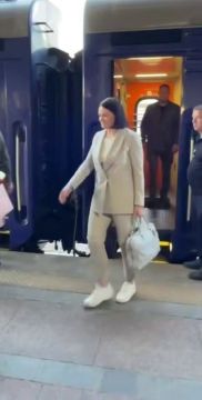 В Киев в срочном порядке приехала "котлетная фея" — Тихановская