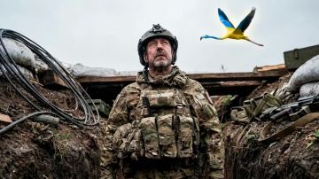 Внутри Украины зреет бунт: Одни воюют, другие — отсиживаются