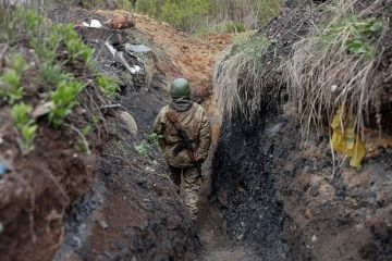«Страна.ua»: Украина начала укреплять оборону на граничащей с Белоруссией Волыни