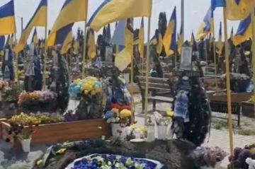 Война за интересы НАТО опустошила Украину на треть