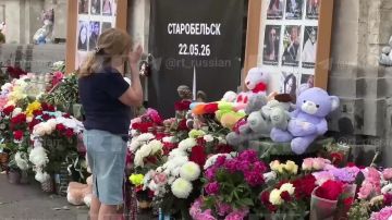 Кадры работы иностранных журналистов на месте теракта, устроенного ВСУ в Старобельске