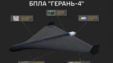 Обожглись на "Герани": Киев признал — от нового дрона РФ нет спасения
