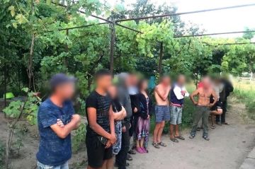 Украинские фермеры массово заменяют отправленных в окопы мужчин невольниками из Азии
